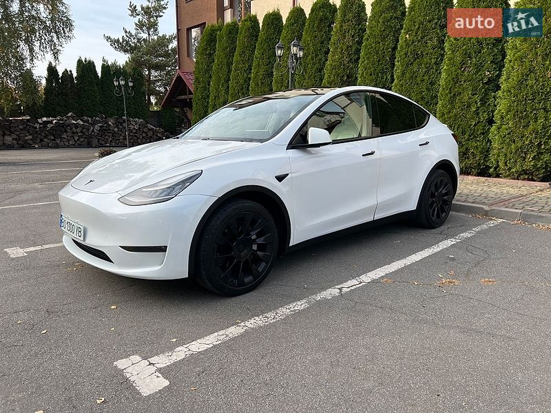 Внедорожник / Кроссовер Tesla Model Y 2020 в Тернополе