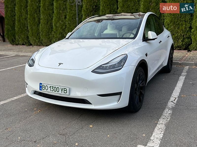 Внедорожник / Кроссовер Tesla Model Y 2020 в Тернополе