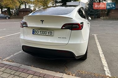 Внедорожник / Кроссовер Tesla Model Y 2020 в Тернополе
