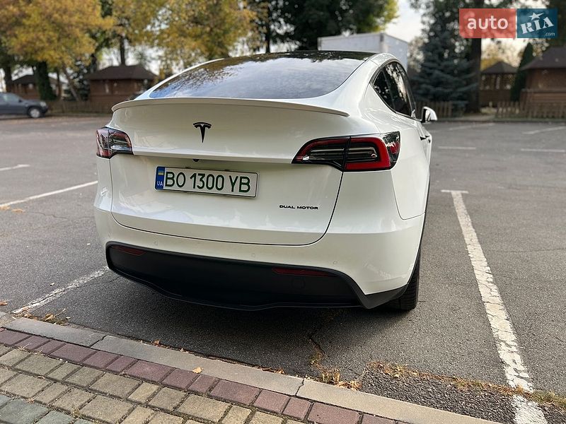 Внедорожник / Кроссовер Tesla Model Y 2020 в Тернополе