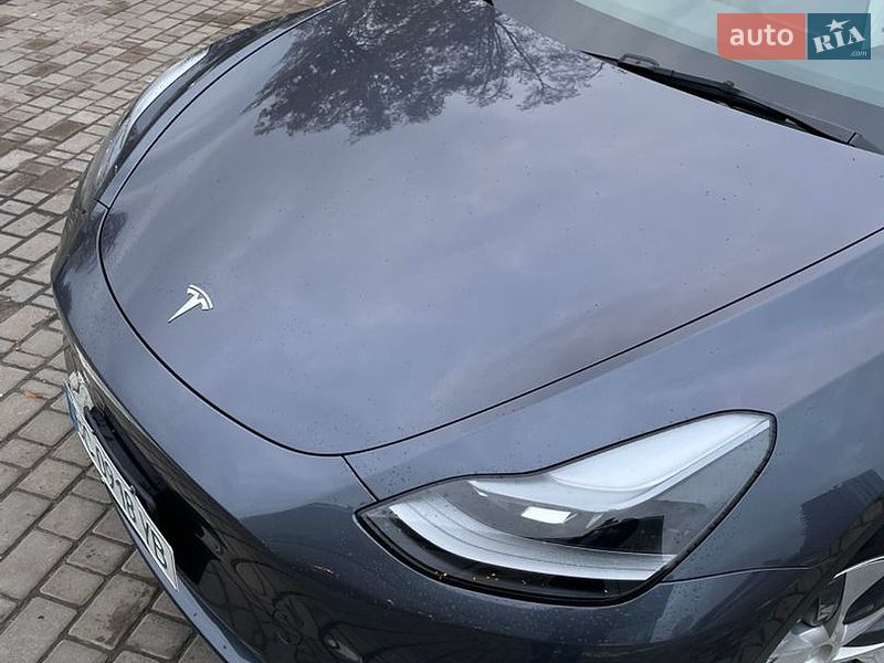 Позашляховик / Кросовер Tesla Model Y 2023 в Львові фото 2 Позашляховик / Кросовер Tesla Model Y 2023 в Львові
