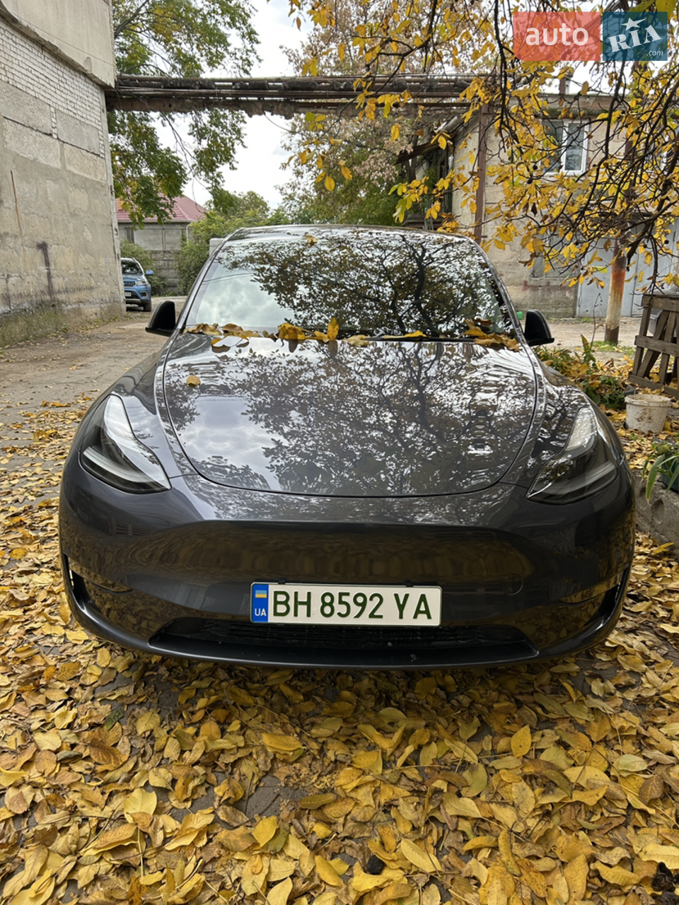 2023 Tesla Model Y - мініатюра 20