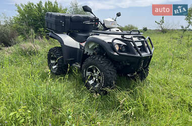 Квадроцикл  утилитарный TGB Blade 2008 в 