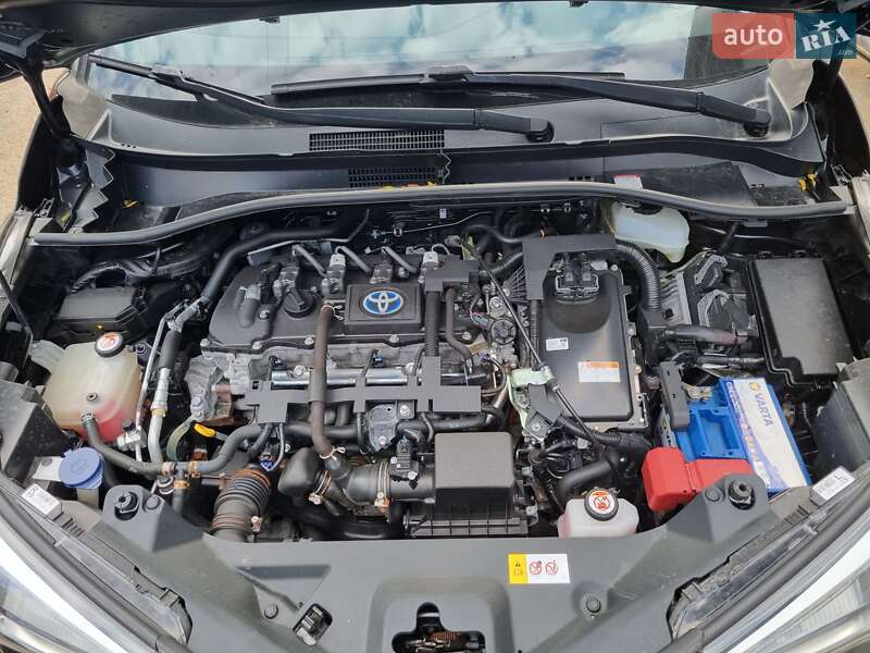 Внедорожник / Кроссовер Toyota C-HR 2019 в Житомире фото 21 Внедорожник / Кроссовер Toyota C-HR 2019 в Житомире