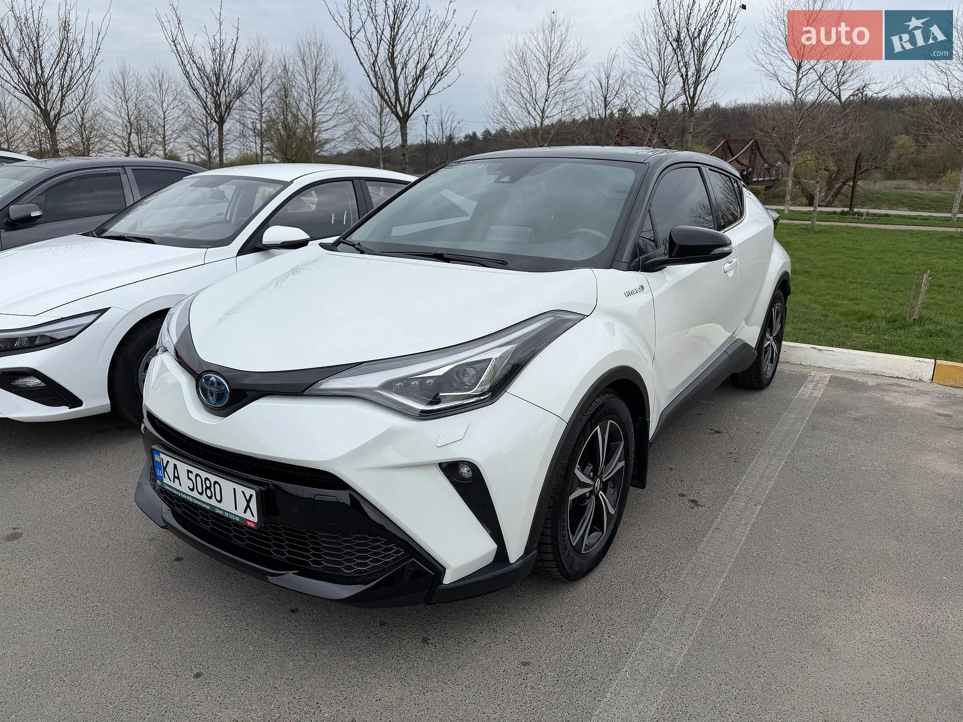 2019 Toyota C-HR - мініатюра 3