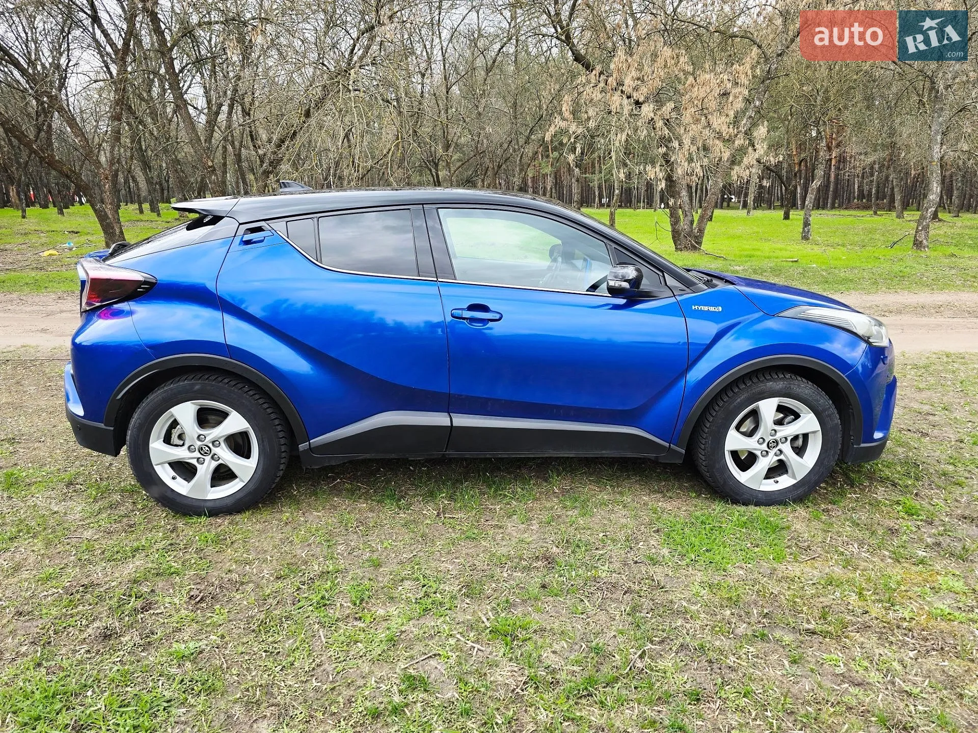 2017 Toyota C-HR - мініатюра 4