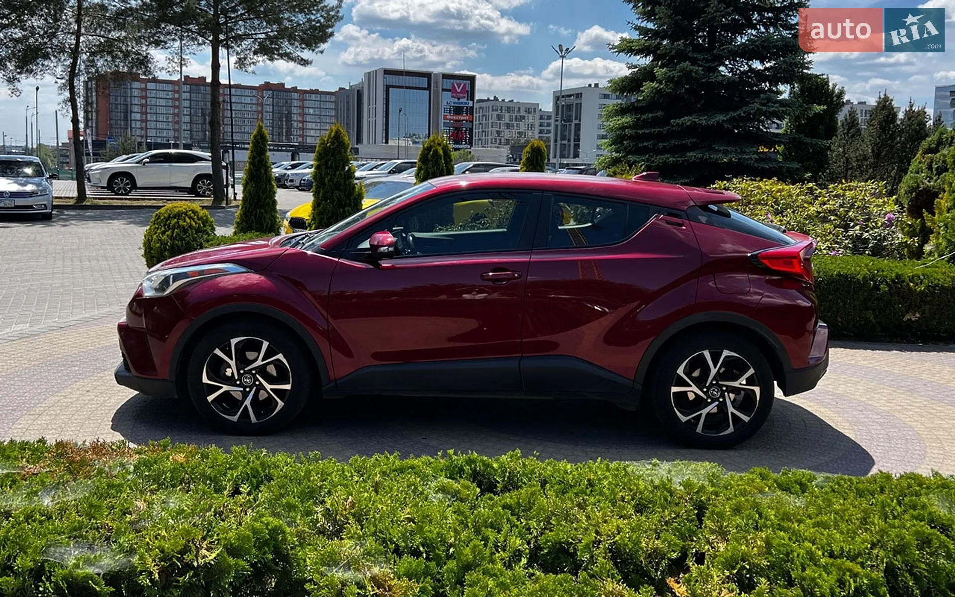 2017 Toyota C-HR - мініатюра 4