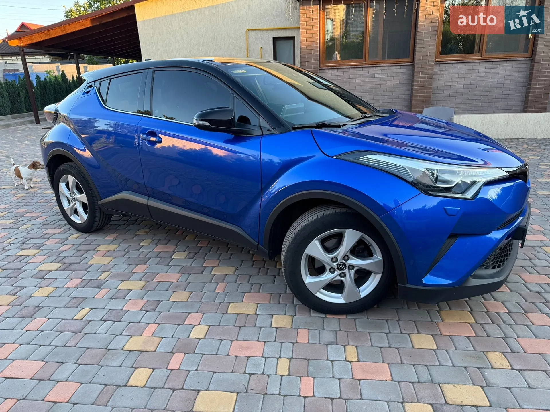 2019 Toyota C-HR - мініатюра 6