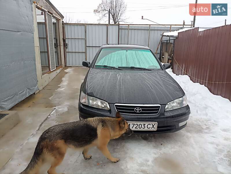 Седан Toyota Camry 1999 в Глухові