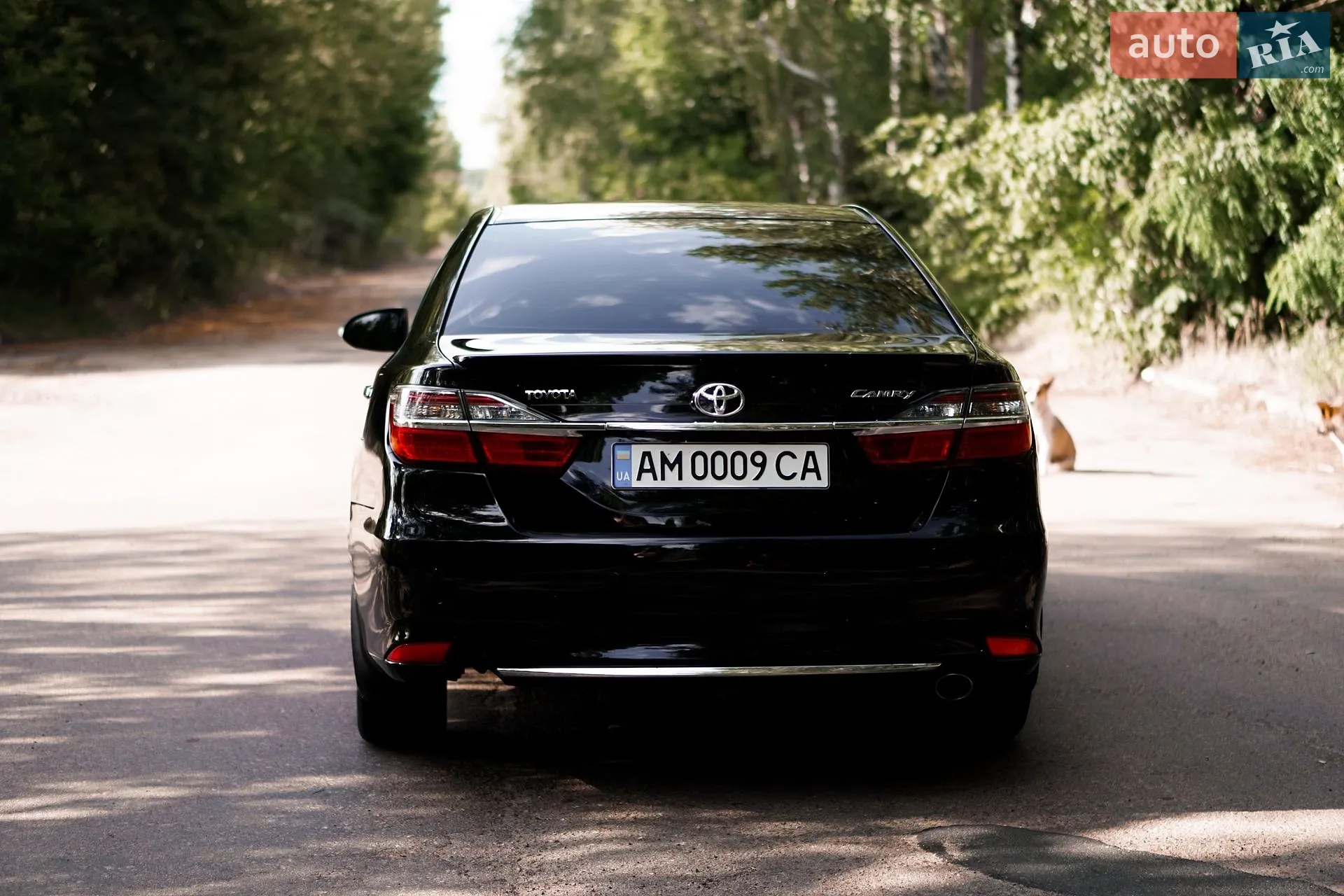 2015 Toyota Camry - мініатюра 16