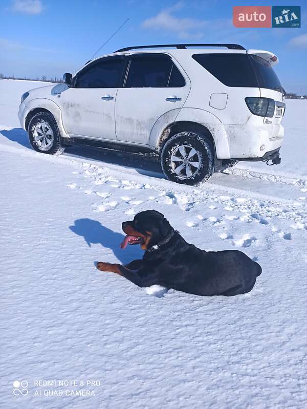 Позашляховик / Кросовер Toyota Fortuner 2008 в Черкасах