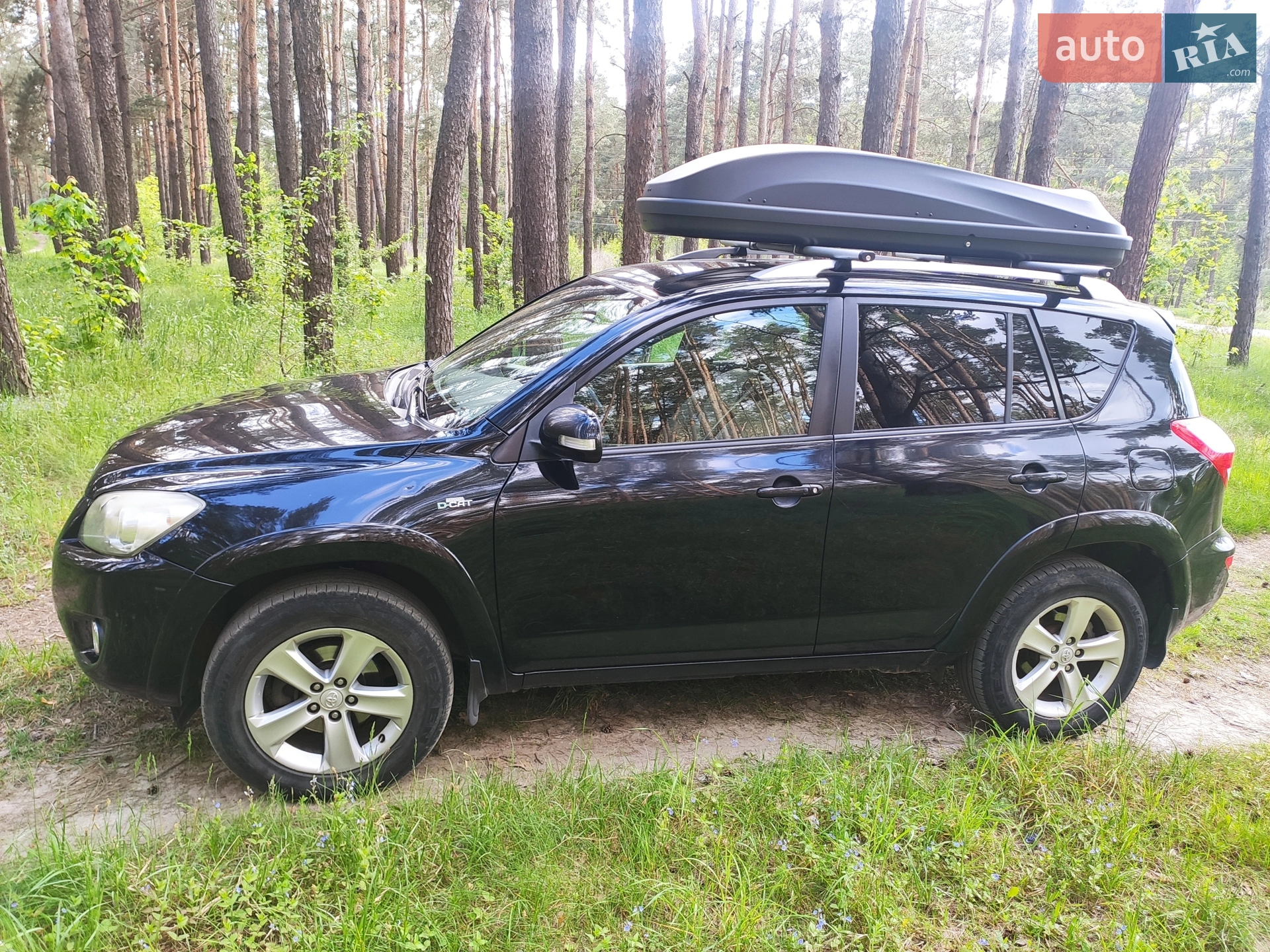 2010 Toyota RAV 4 - мініатюра 6