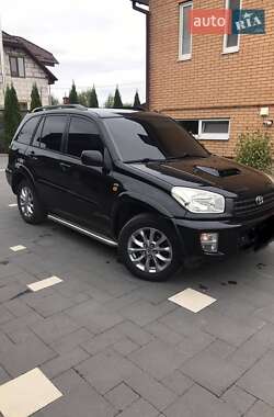 Внедорожник / Кроссовер Toyota RAV4 2002 в Сарнах