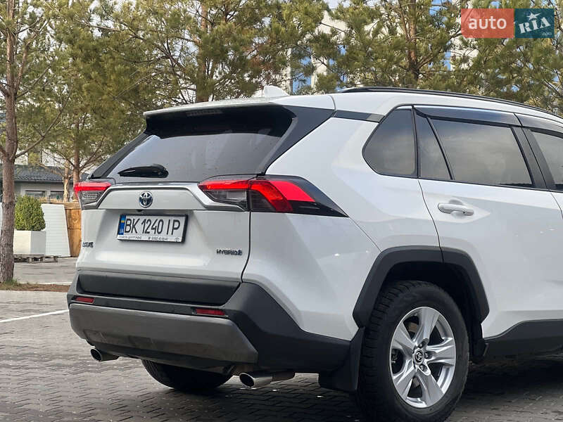 Позашляховик / Кросовер Toyota RAV4 2020 в Рокитному