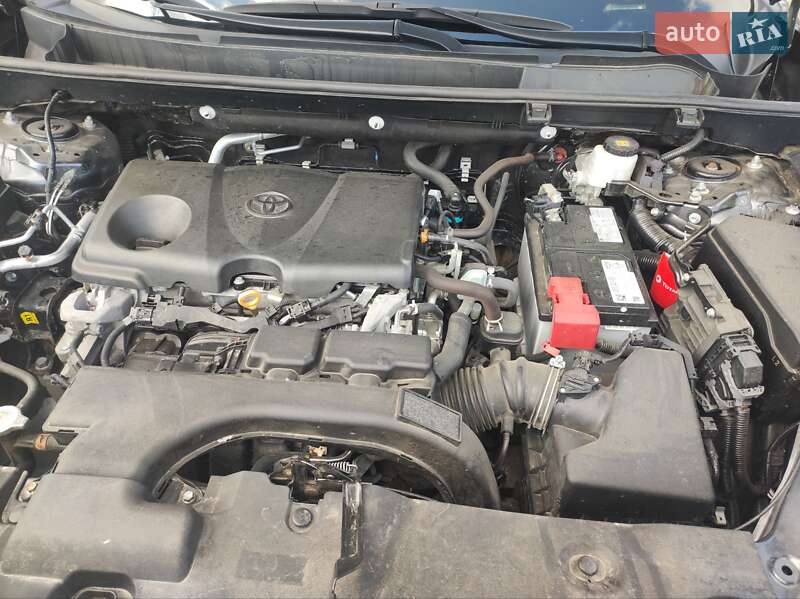 Внедорожник / Кроссовер Toyota RAV4 2021 в Умани