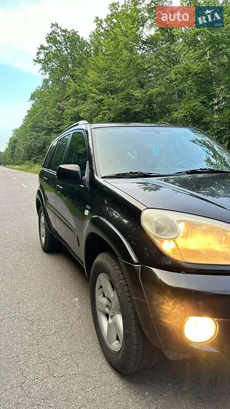 Внедорожник / Кроссовер Toyota RAV4 2004 в Дубно