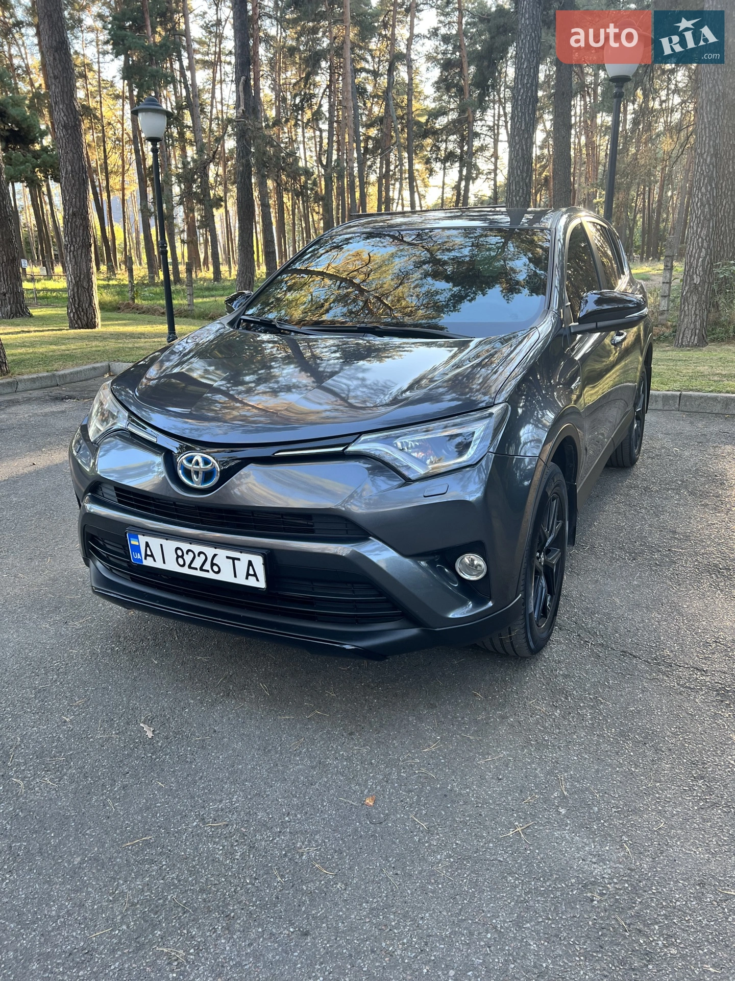 2018 Toyota RAV 4 - фото 1