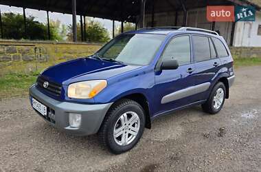 Внедорожник / Кроссовер Toyota RAV4 2003 в Бердичеве