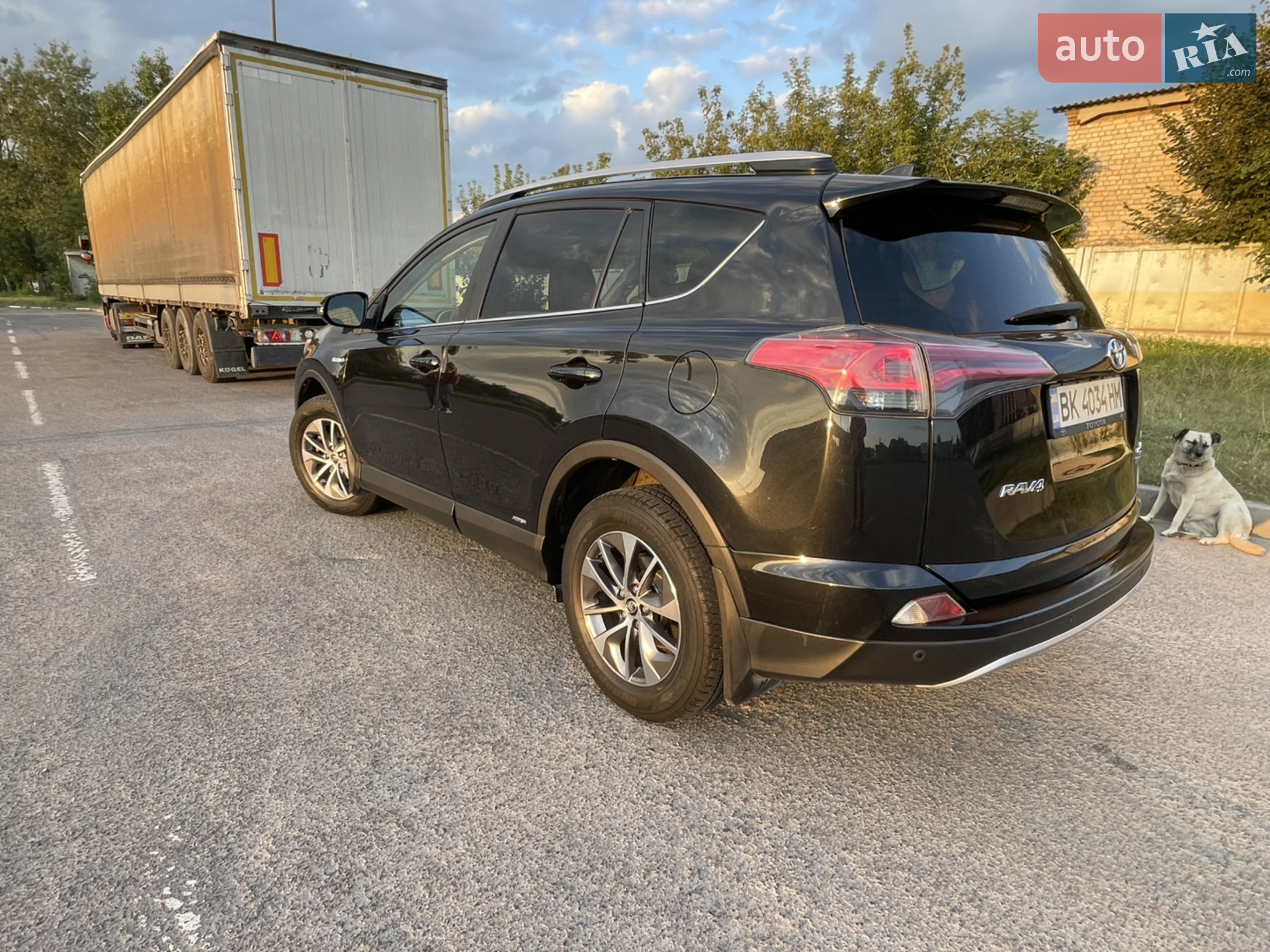 2016 Toyota RAV 4 - мініатюра 11