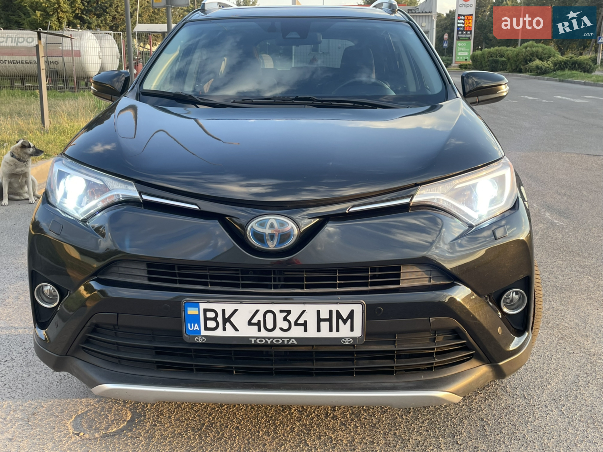 2016 Toyota RAV 4 - мініатюра 14
