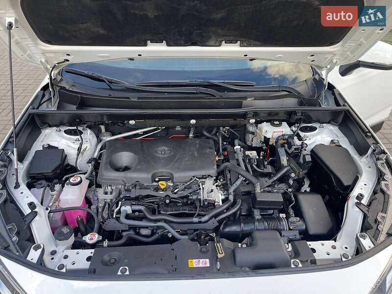 Внедорожник / Кроссовер Toyota RAV4 2020 в Житомире фото 50 Внедорожник / Кроссовер Toyota RAV4 2020 в Житомире