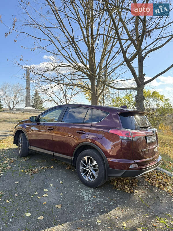 Позашляховик / Кросовер Toyota RAV4 2017 в Тетієві