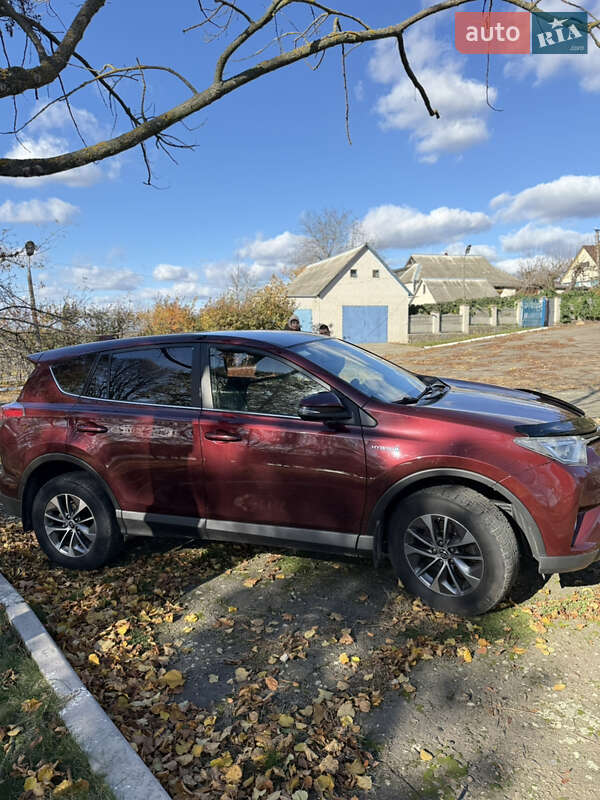Позашляховик / Кросовер Toyota RAV4 2017 в Тетієві