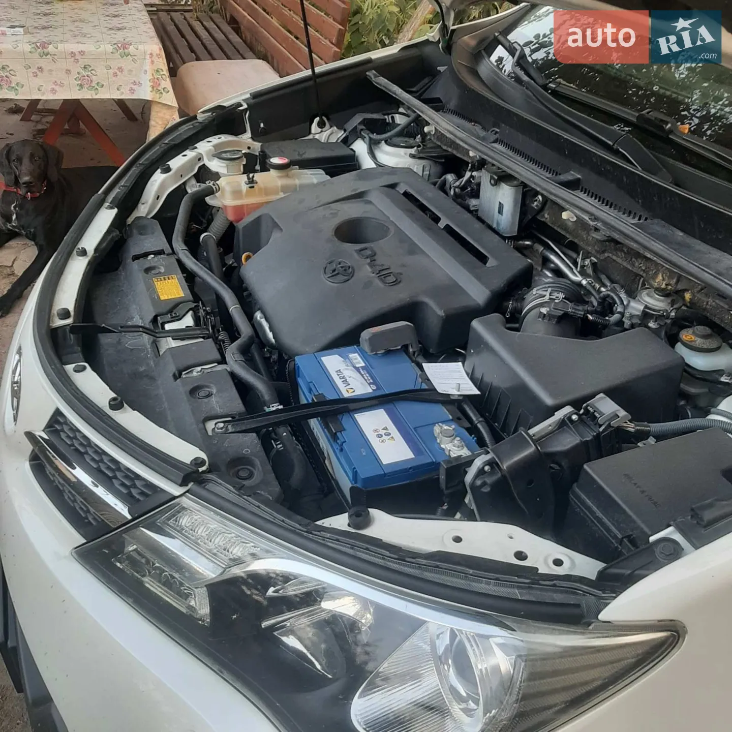 2014 Toyota RAV 4 - мініатюра 3