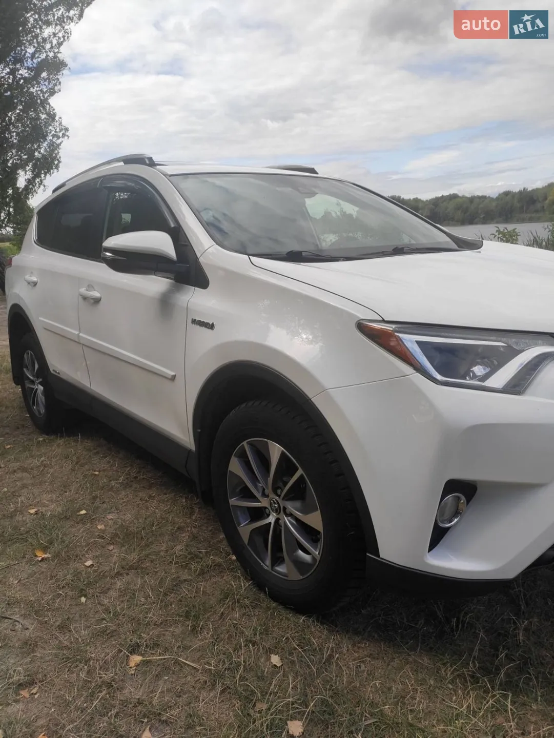 2018 Toyota RAV 4 - мініатюра 3