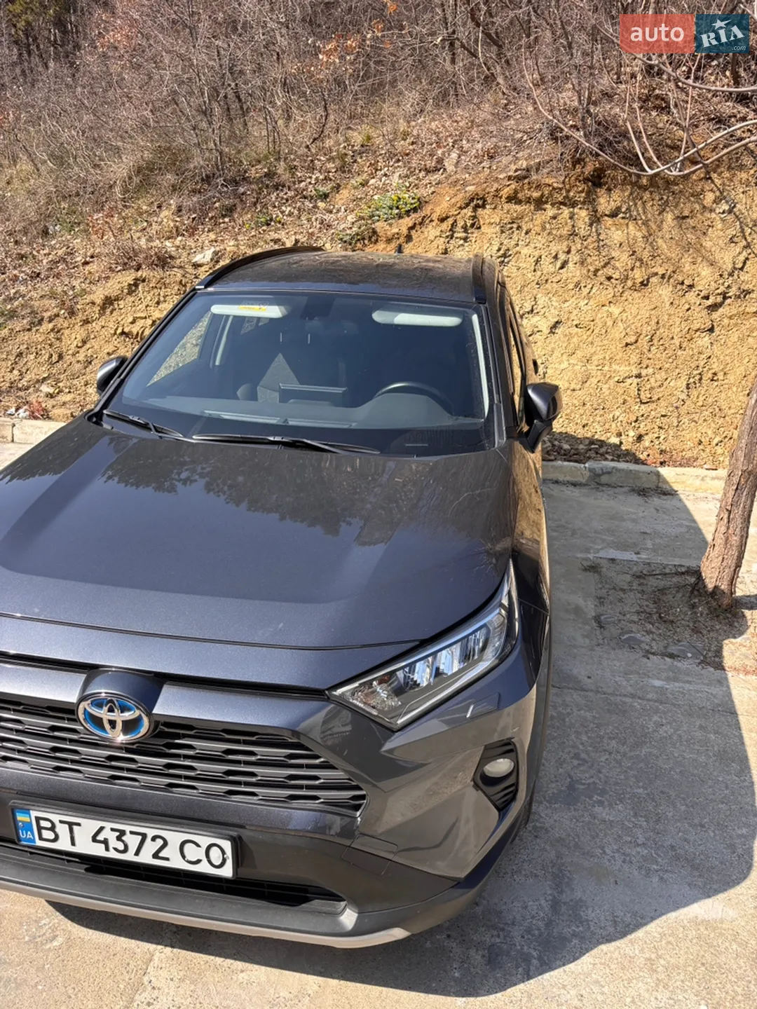 2019 Toyota RAV 4 - мініатюра 2