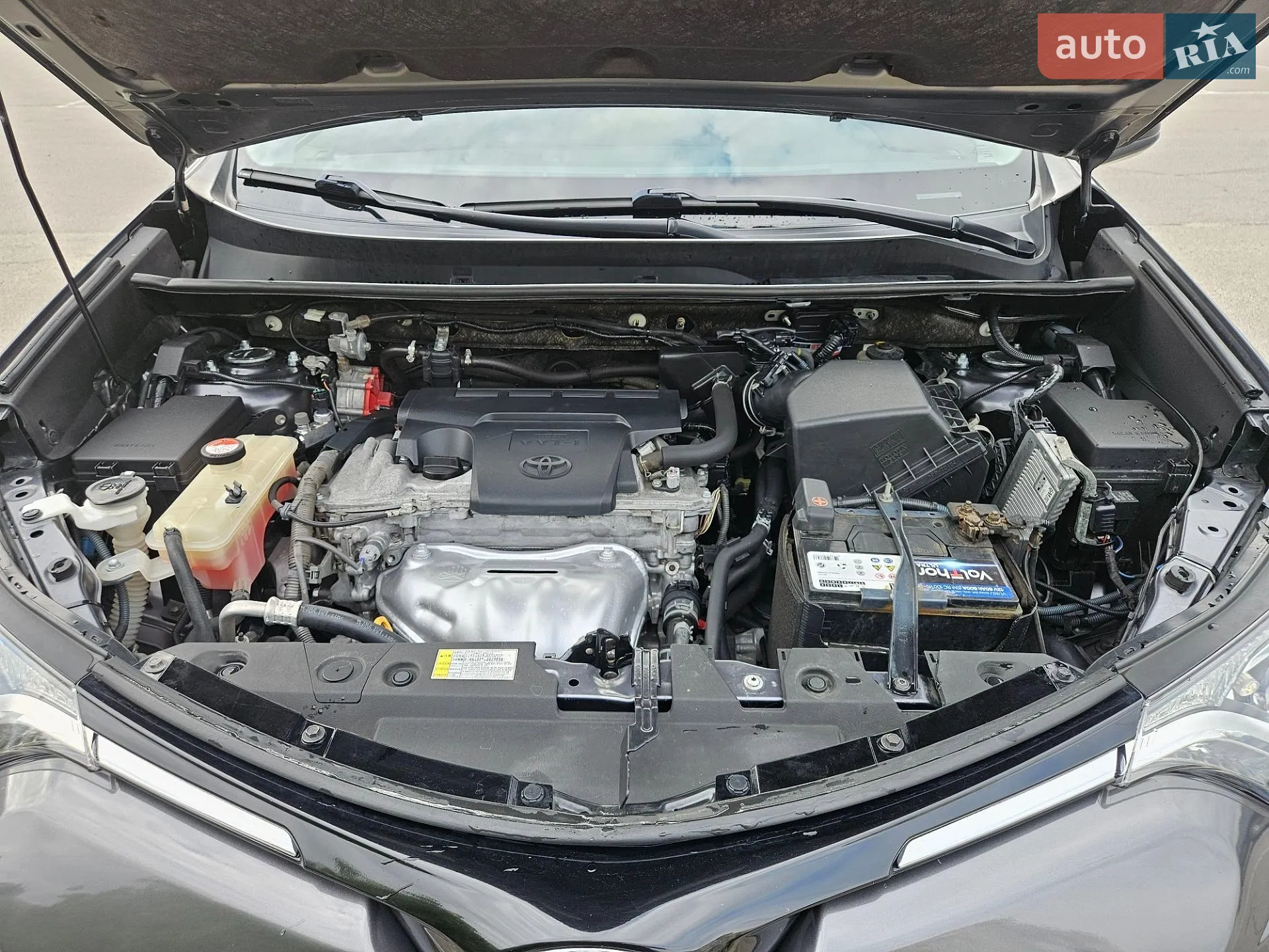 2016 Toyota RAV 4 - мініатюра 14