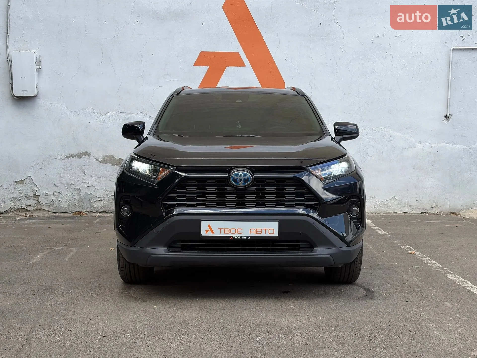 2019 Toyota RAV 4 - мініатюра 2