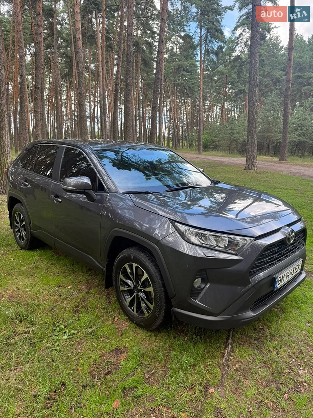 2019 Toyota RAV 4 - мініатюра 2