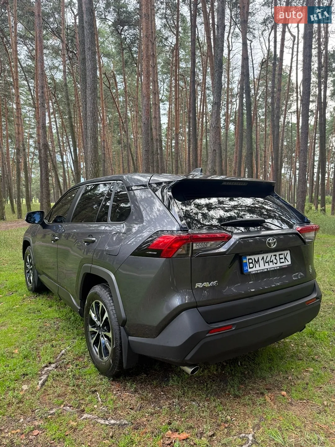 2019 Toyota RAV 4 - мініатюра 4