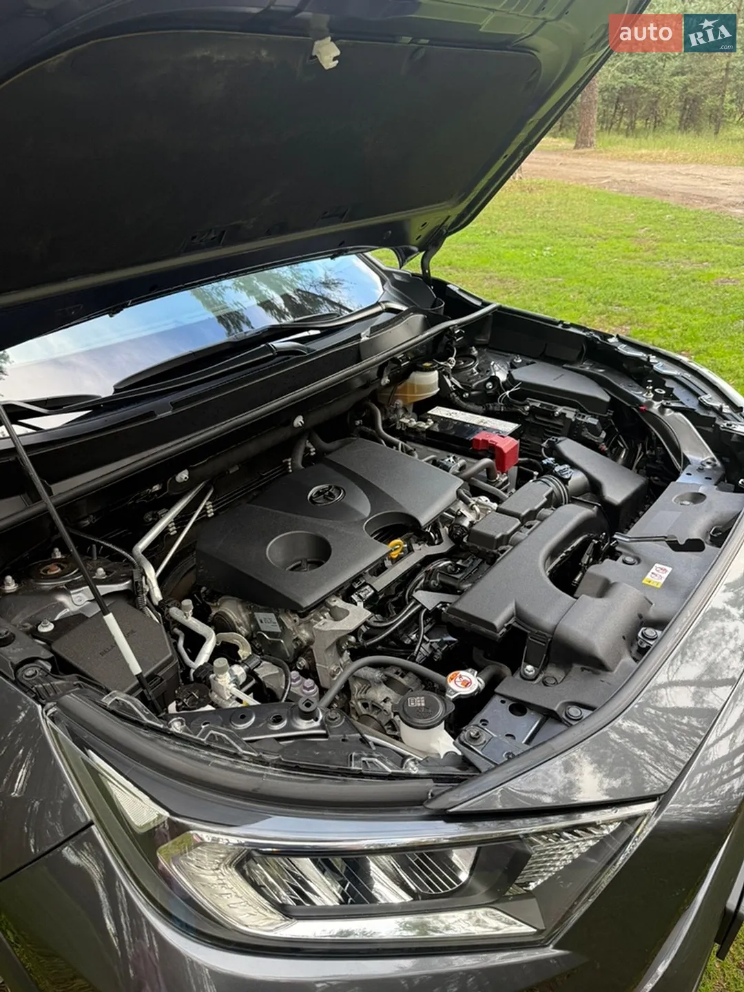 2019 Toyota RAV 4 - мініатюра 14