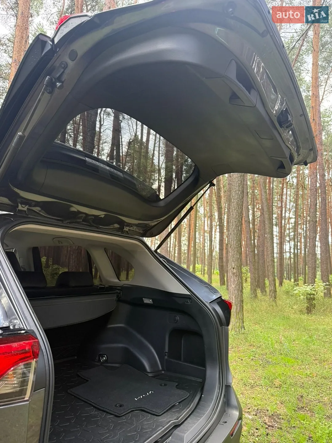 2019 Toyota RAV 4 - мініатюра 17