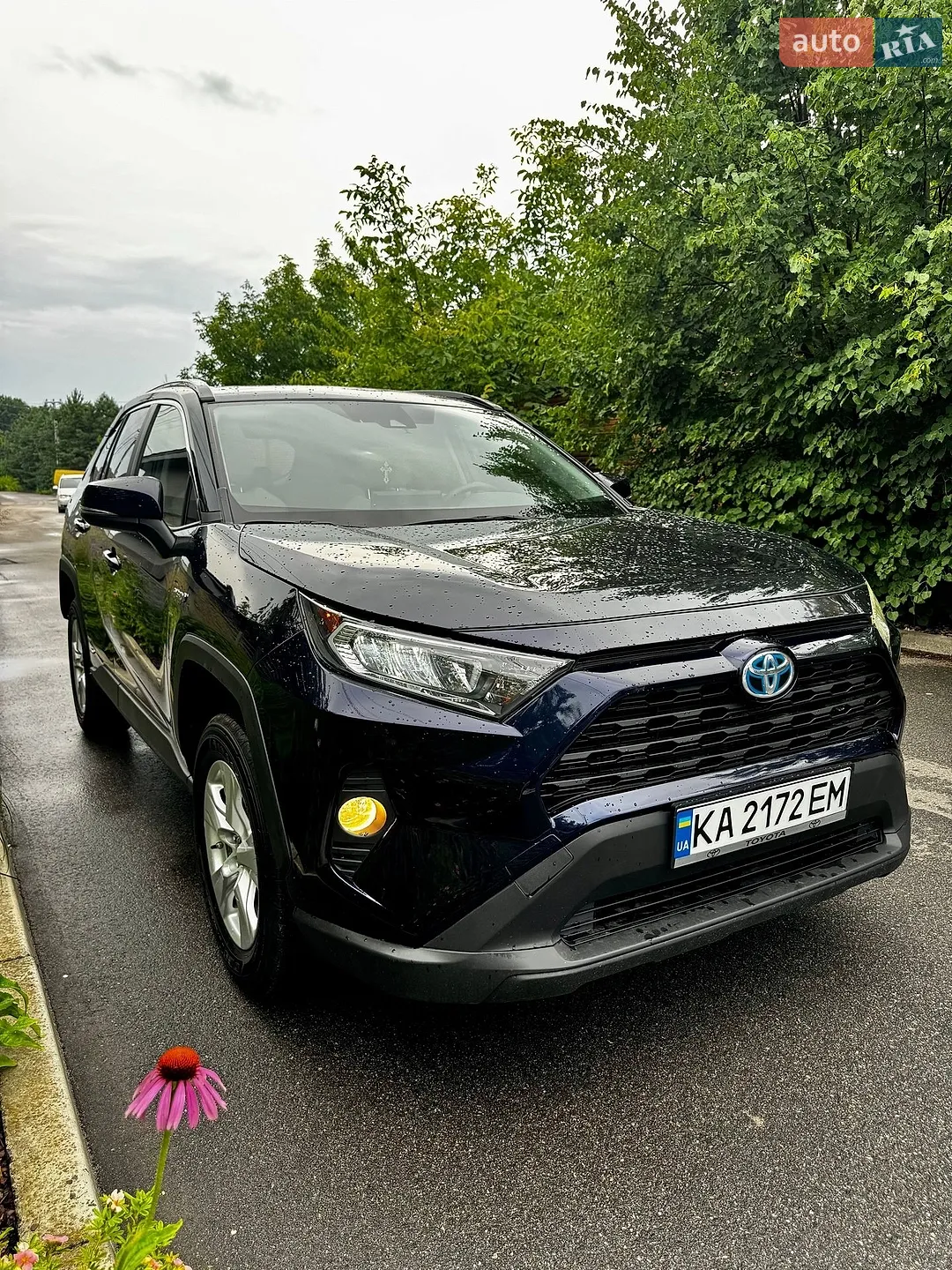 2019 Toyota RAV 4 - мініатюра 5
