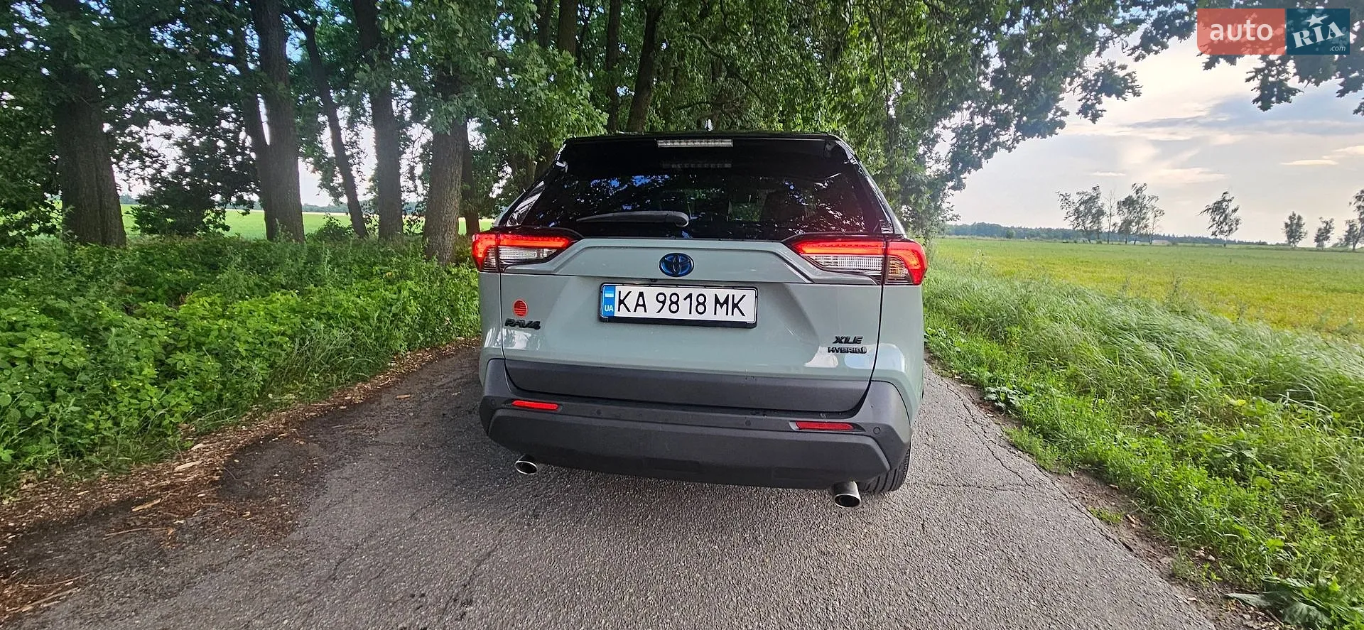 2022 Toyota RAV 4 - мініатюра 5