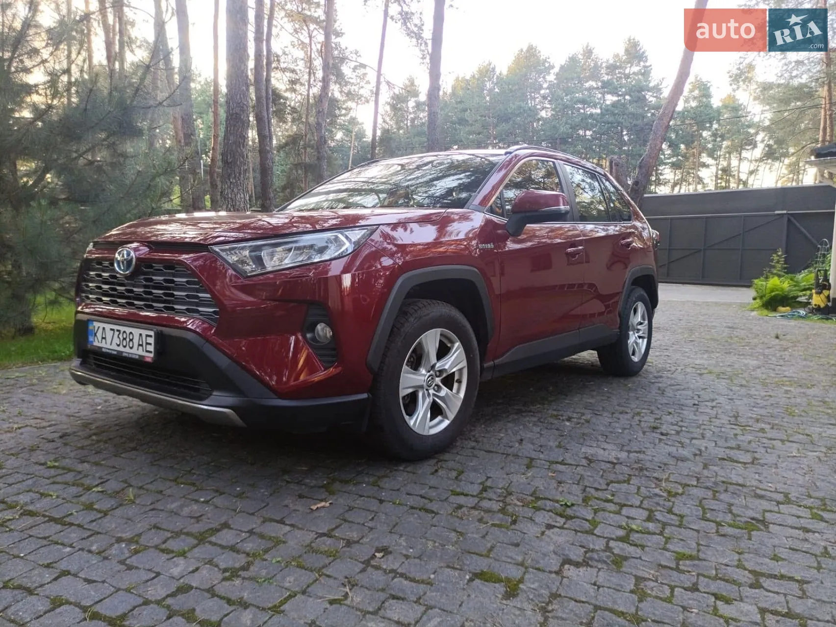 2019 Toyota RAV 4 - мініатюра 2