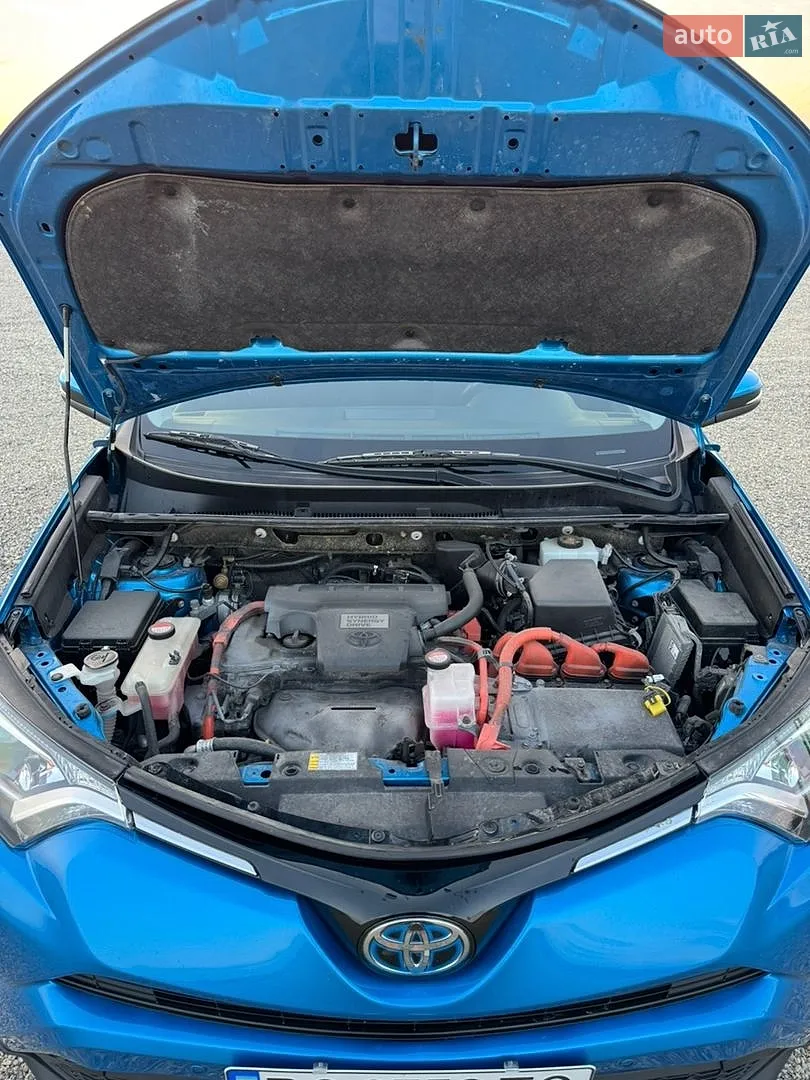 2016 Toyota RAV 4 - мініатюра 14