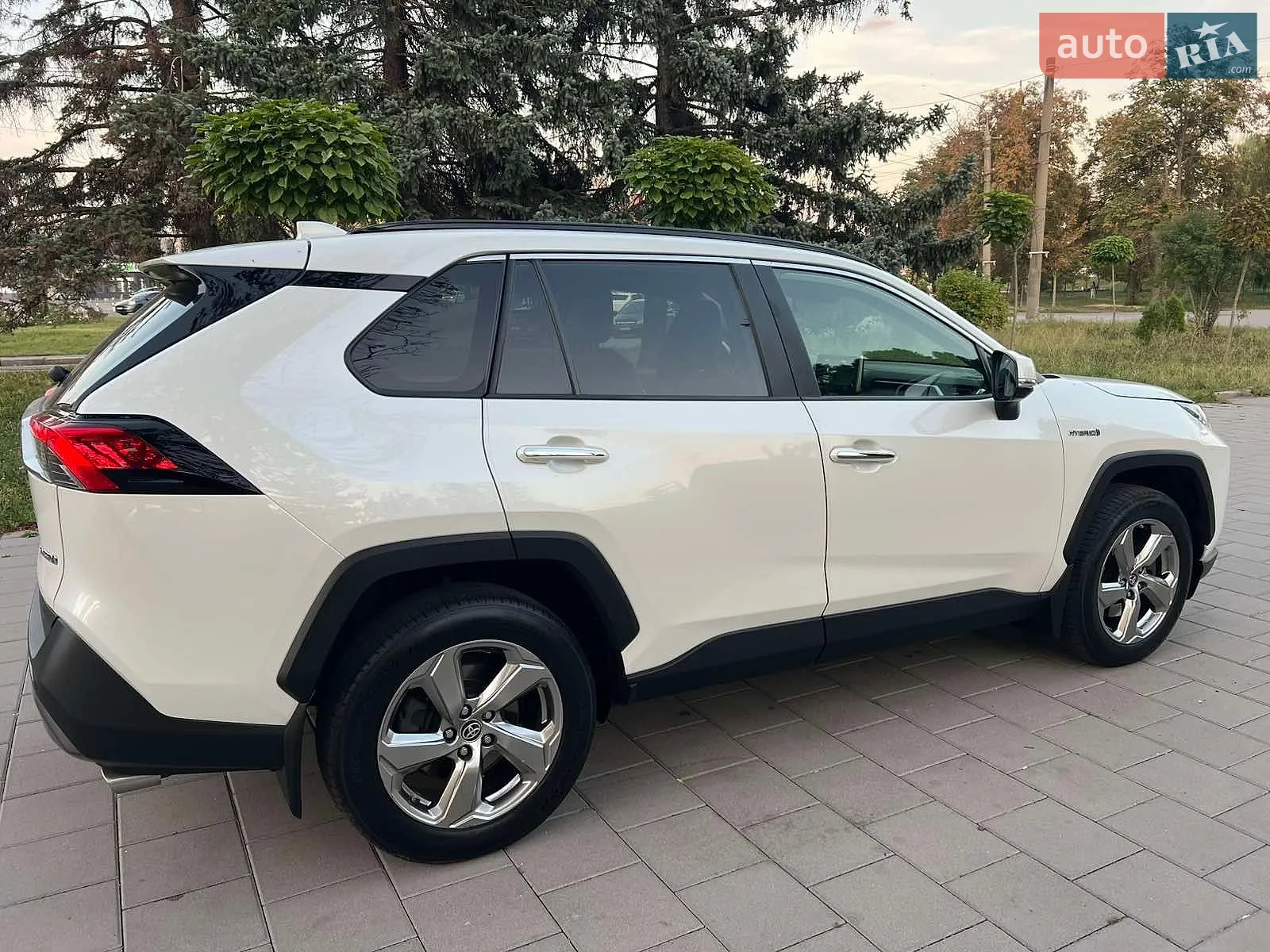 2020 Toyota RAV 4 - мініатюра 19