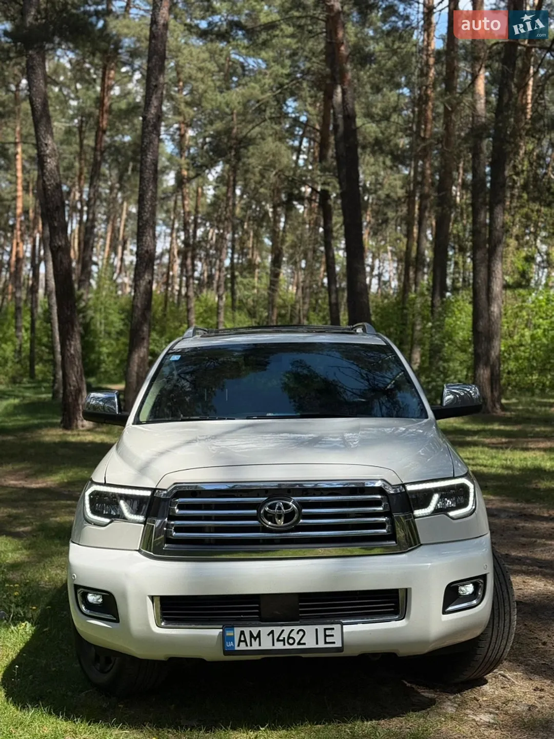 2019 Toyota Sequoia - мініатюра 3