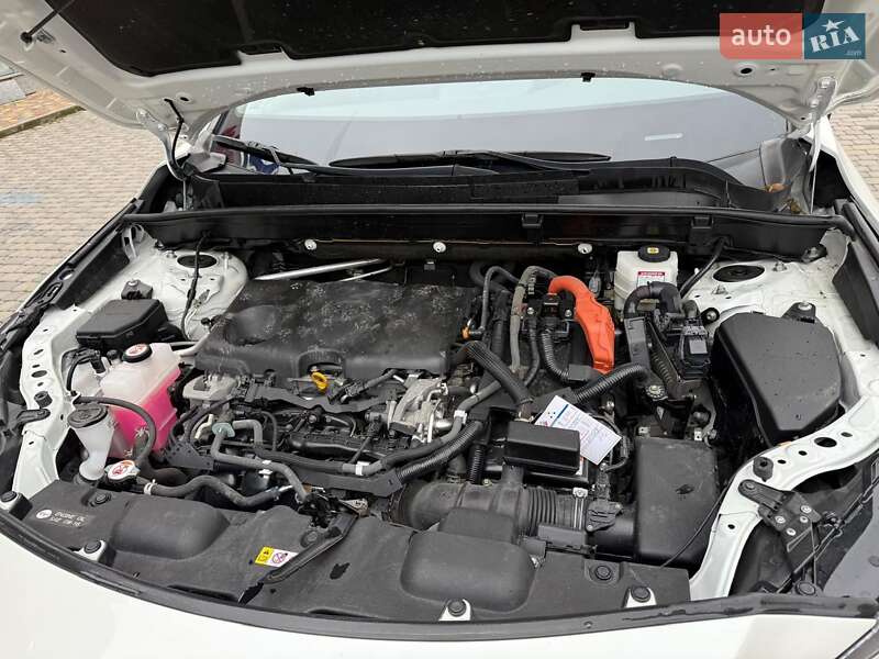 Внедорожник / Кроссовер Toyota Venza 2021 в Хмельницком фото 16 Внедорожник / Кроссовер Toyota Venza 2021 в Хмельницком