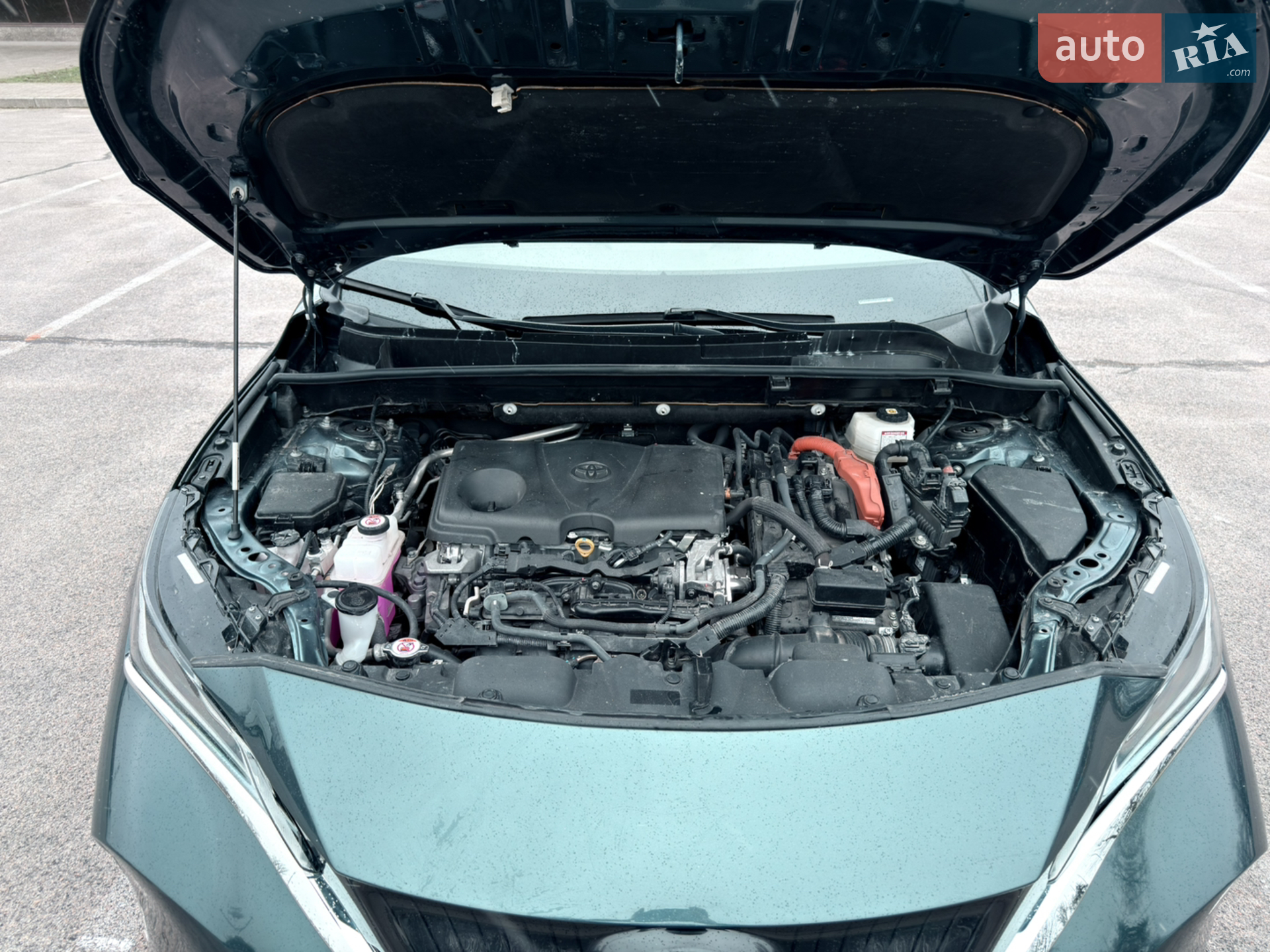2021 Toyota Venza - мініатюра 13