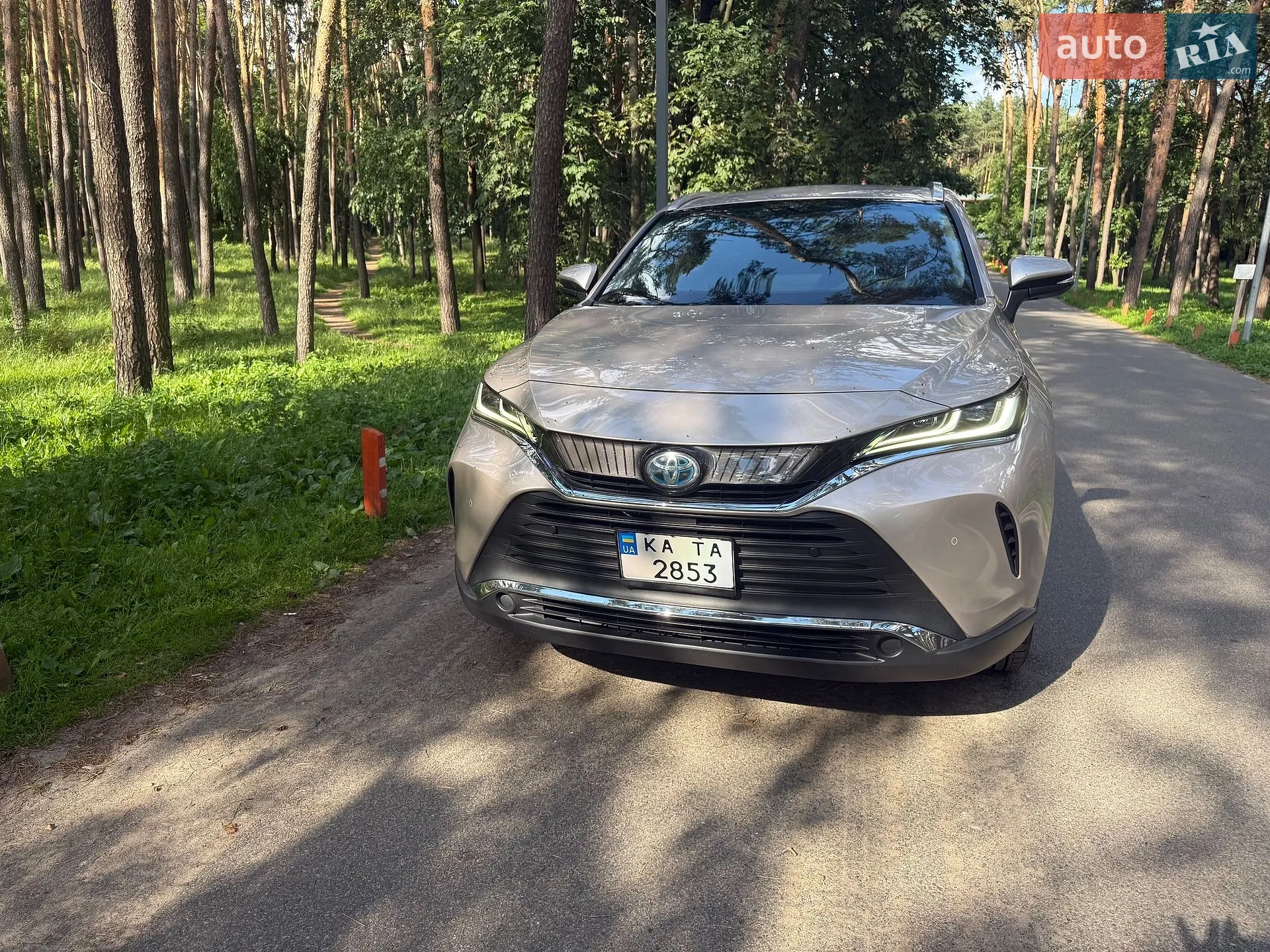 2020 Toyota Venza - мініатюра 2