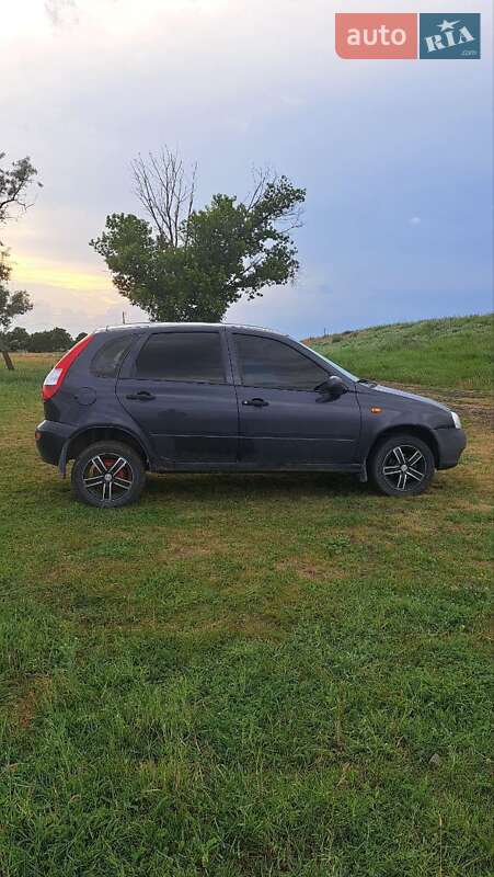 Универсал ВАЗ / Lada 1117 Калина 2008 в Павлограде