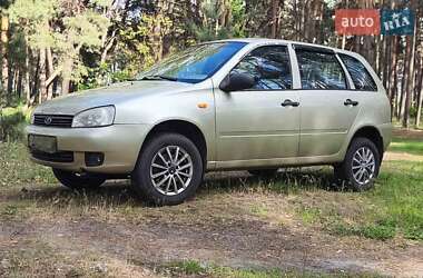 Универсал ВАЗ 1117 Калина 2008 в 