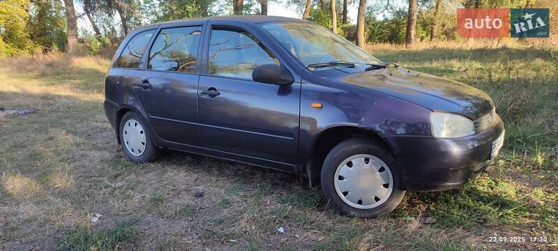 Универсал ВАЗ / Lada 1117 Калина 2008 в Верхнеднепровске