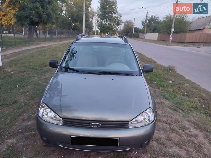 Универсал ВАЗ / Lada 1117 Калина 2010 в Запорожье