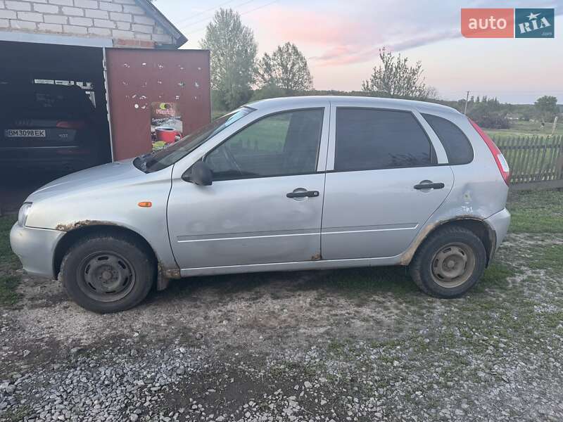 Хэтчбек ВАЗ / Lada 1119 Калина 2009 в Ромнах
